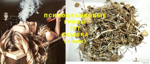 PSILOCYBIN Бугульма